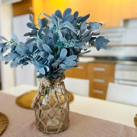 Apartman Marina Gaviota *