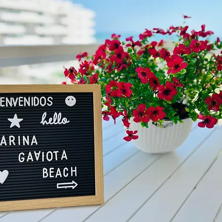Marina Gaviota * Daimus